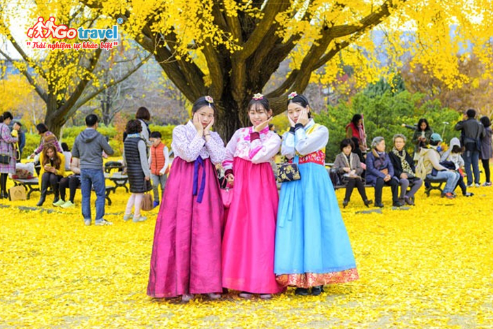Mùa thu ở Hàn Quốc mang một bầu không khí dễ chịu, thư thái thích hợp để du ngoạn, chụp hình.