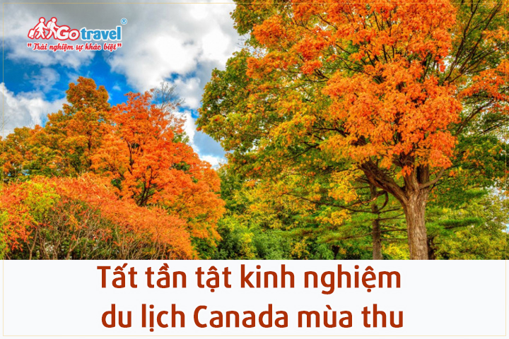 Tất tần tật kinh nghiệm du lịch Canada mùa thu