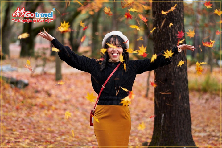 Đừng bỏ lỡ hòn đảo Nami xinh đẹp trong chuyến đi du lịch Hàn Quốc mùa thu này!