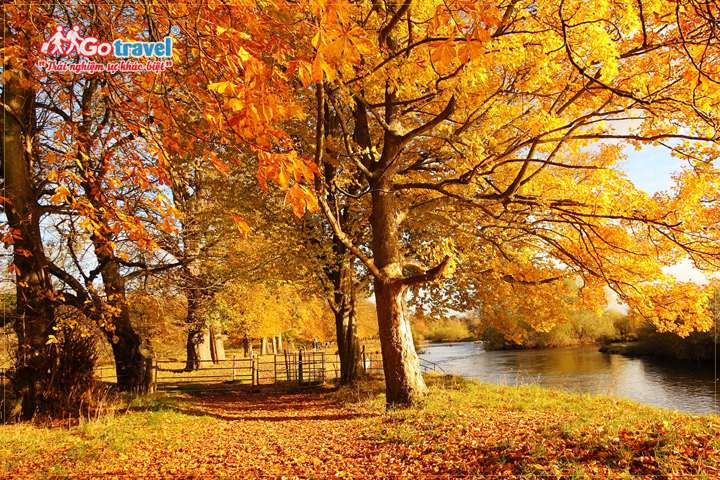 Du lịch Scotland mùa thu ngắm lá vàng được xem là thời điểm du lịch lý tưởng nhất