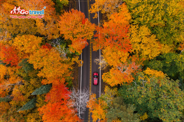 Brockway Mountain Drive - cung đường ngắm sắc đỏ của lá hấp dẫn bạn nên đến khi du lịch Mỹ mùa thu