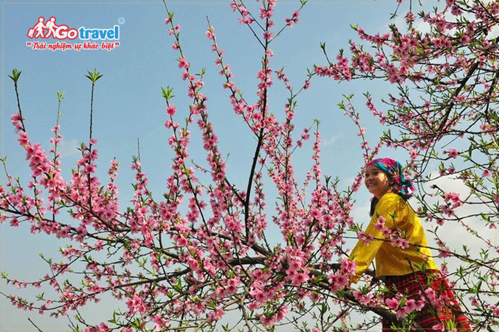Mùa xuân ở Hoàng Su Phì mang nét đẹp của hoa cỏ cùng các lễ hội độc đáo