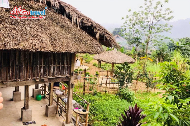Làng Tày Homestay - Một trong những homestay đẹp ở Hà Giang thu hút lượng lớn du khách