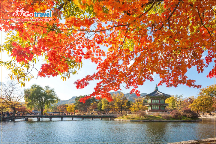 Mùa thu Hàn Quốc được đánh giá là mùa đẹp nhất trong năm