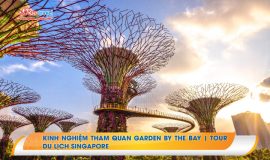 Kinh nghiệm tham quan Garden By The Bay | Tour du lịch Singapore 2022