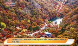 Tại sao mùa Thu ở Hàn Quốc lại hấp dẫn trong mắt du khách đến thế?
