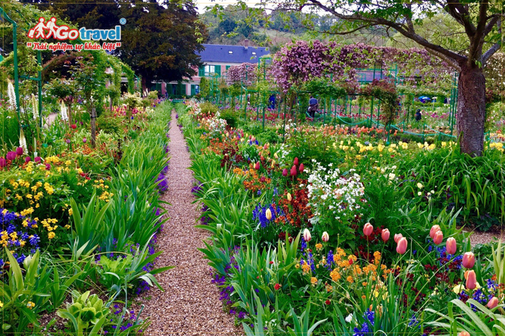 Vườn hoa thơ mộng "trổ sắc" tại Giverny